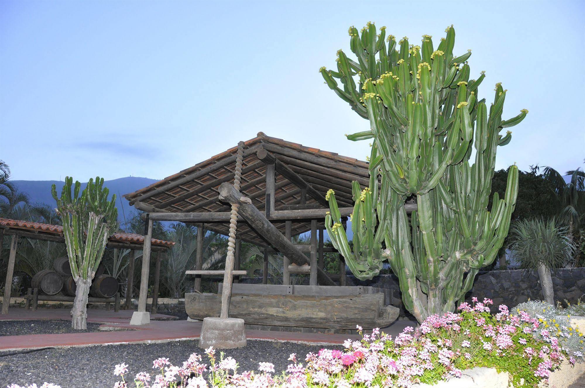 Hotel Rural Finca Salamanca Guimar Exterior photo